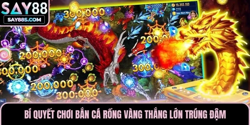 Bí Quyết Chơi Bắn Cá Rồng Vàng Thắng Lớn Trúng Đậm