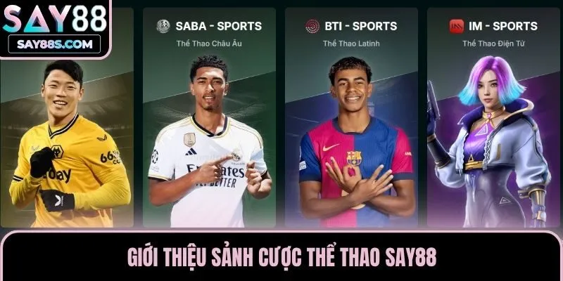 Giới thiệu sảnh cược thể thao Say88