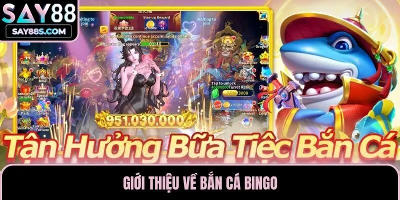 Giới thiệu về bắn cá Bingo