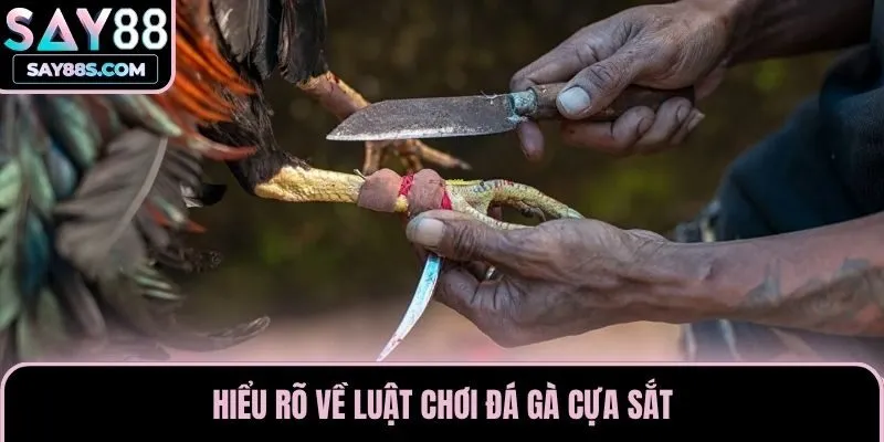 Hiểu rõ về luật chơi đá gà cựa sắt