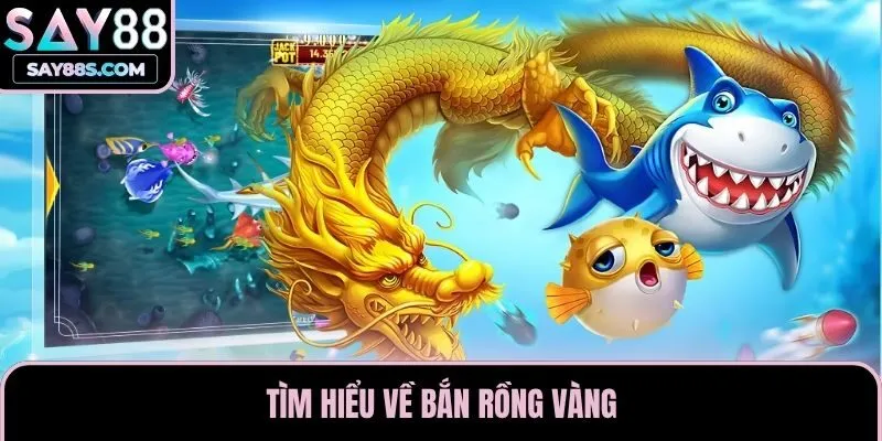 Tìm hiểu về bắn rồng vàng